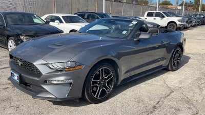 2022 Ford Mustang EcoBoost
