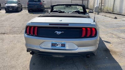 2023 Ford Mustang EcoBoost