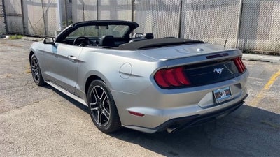 2023 Ford Mustang EcoBoost